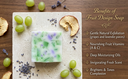 Fruit soap3.webp