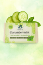 Cucumber1.webp